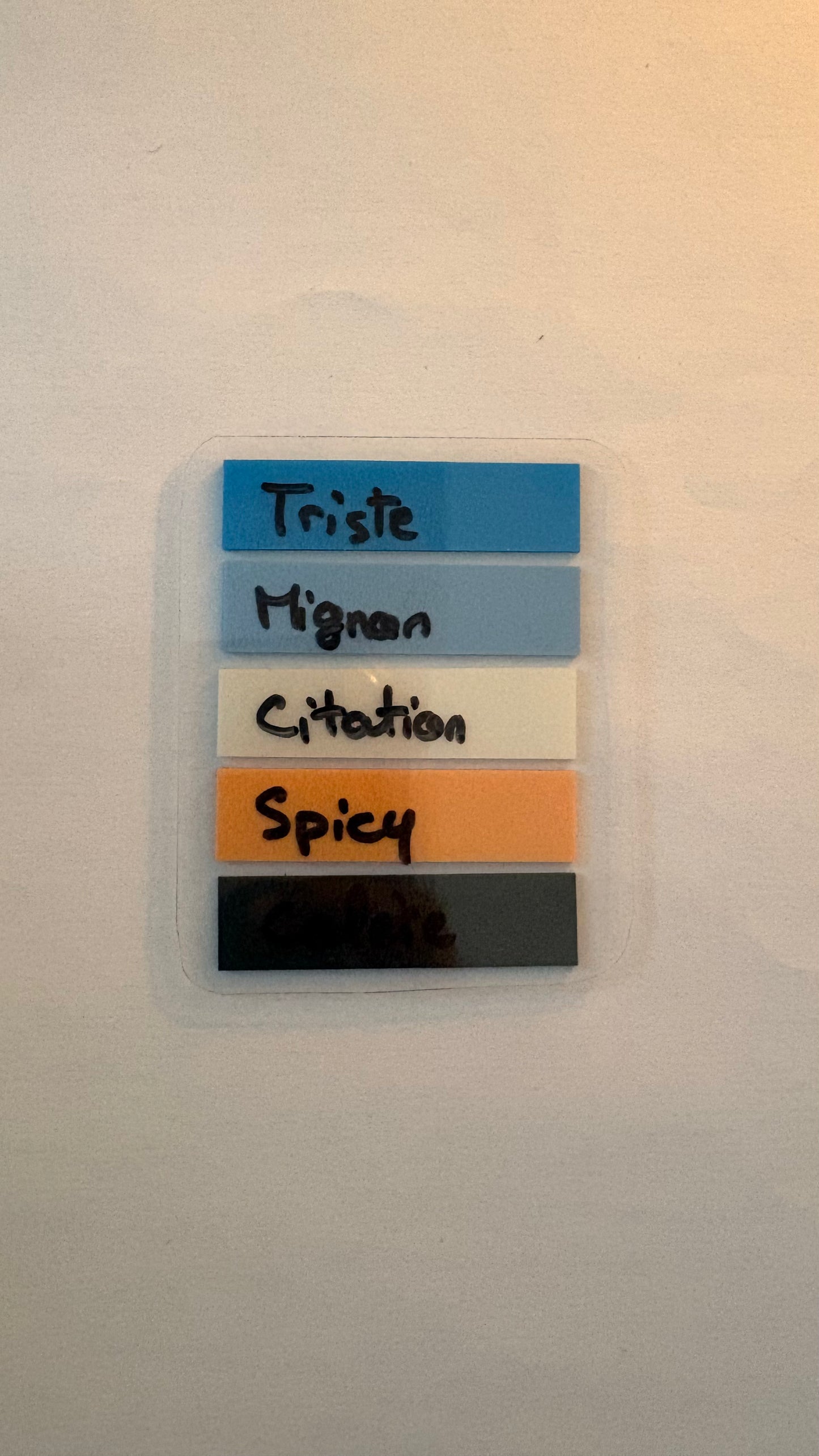 Palette d’annotation – Our Vicious Lies 📚✨